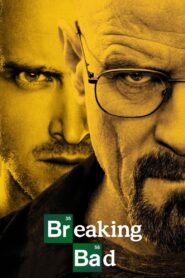 Breaking Bad (Now in Hindi)