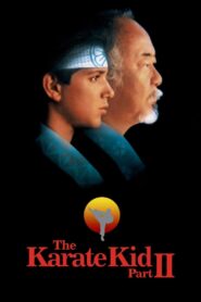 The Karate Kid Part 2