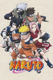 Naruto (Hindi Dubbed)