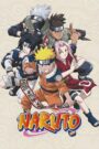 Naruto (Hindi Dubbed)
