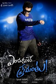 Dangerous Khiladi 5 – Endukante Premanta