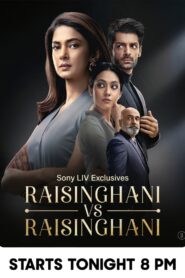 Raisinghani vs Raisinghani
