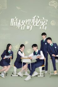 Our Secret: Season 1