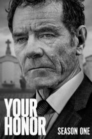 Your Honor: Season 1