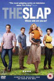 The Slap: Season 1