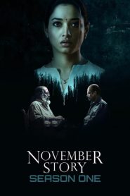 November Story: Season 1
