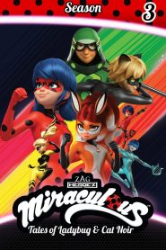 Miraculous: Tales of Ladybug & Cat Noir: Season 3